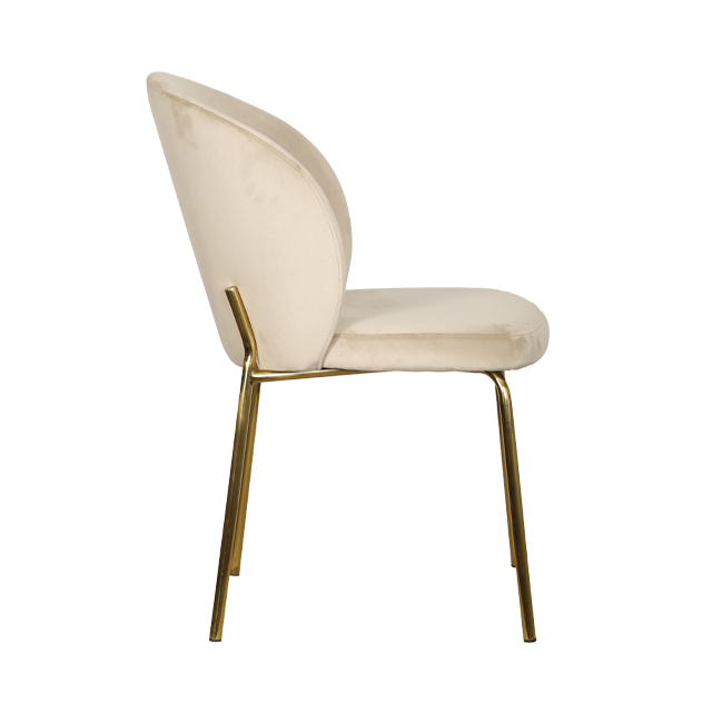 Стул обеденный IST-CASA Грасси DC-2059, размер 52x48x80 см, цвет: бежевый (DC-2059casa)DC-2059casa Стул обеденный IST-CASA Грасси DC-2059, размер 52x48x80 см, цвет: бежевый (DC-2059casa)DC-2059casa