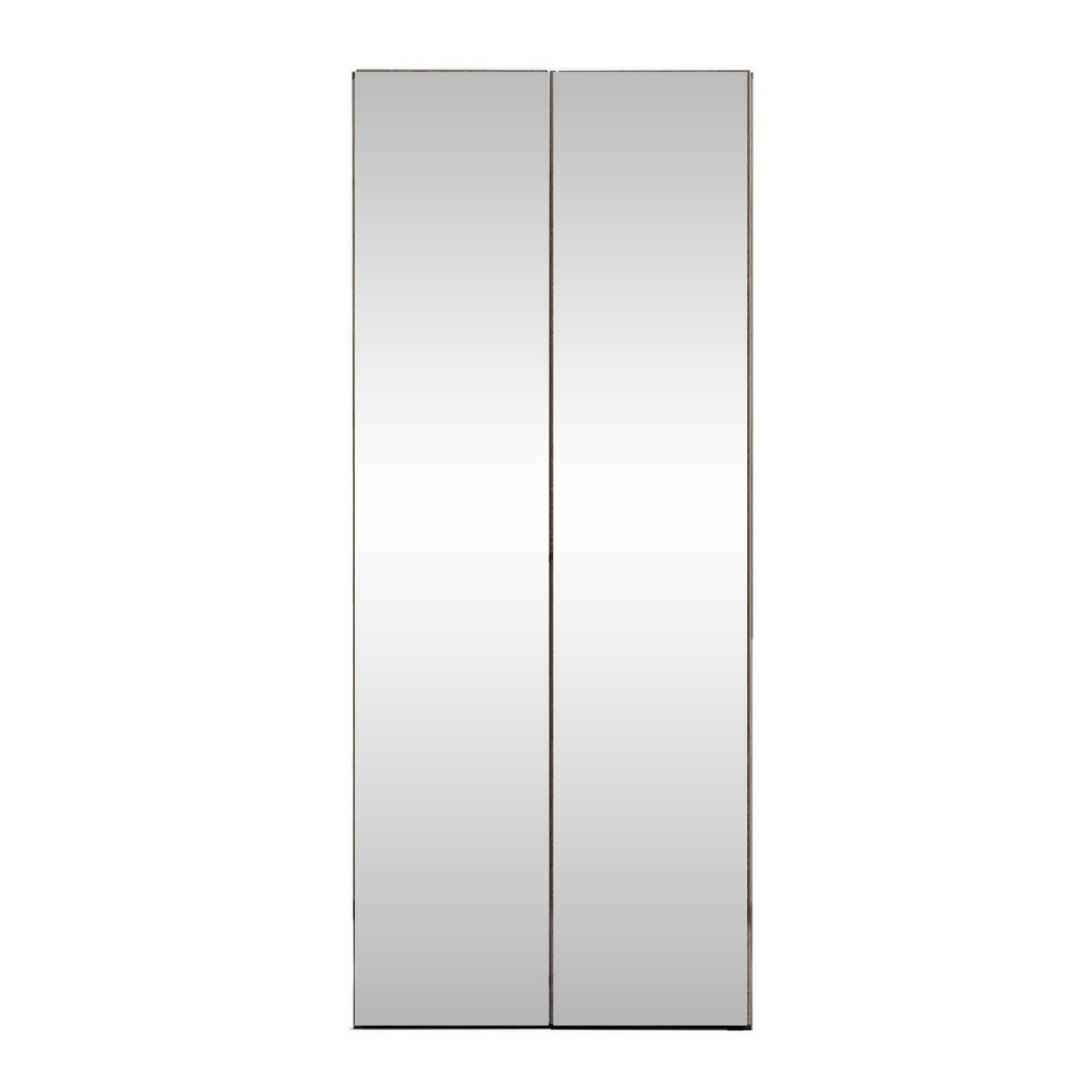 Шкаф платяной Elite silver, 2-х дверный, с зеркалами, цвет: серебристая береза, 93x61x228 см (154AR2.02PL)154AR2.02PL